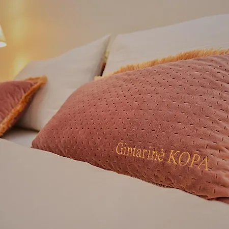 Appartamento Gintarine Kopa - Jaukus Apartamentai Prie Juros Ir Pusyno *