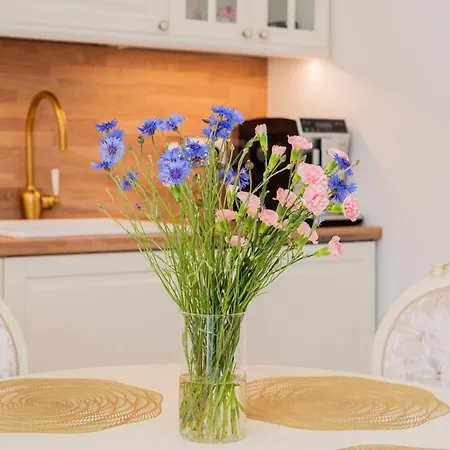 Appartamento Gintarine Kopa - Jaukus Apartamentai Prie Juros Ir Pusyno *