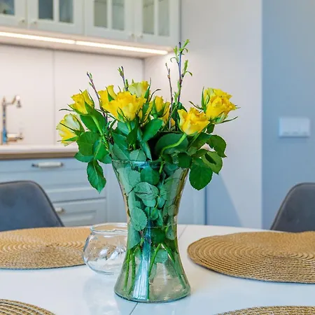 Gintarine Kopa - Jaukus Apartamentai Prie Juros Ir Pusyno Palanga