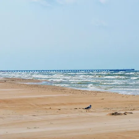 Apartment Gintarine Kopa Palanga