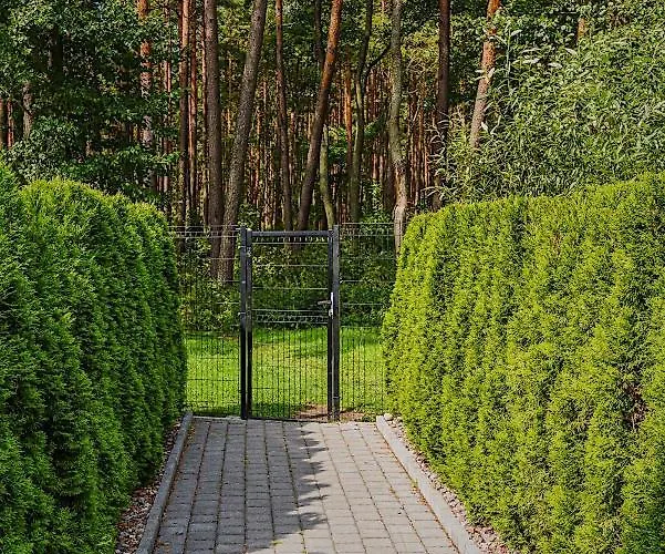 Gintarine Kopa - Jaukus Apartamentai Prie Juros Ir Pusyno 아파트