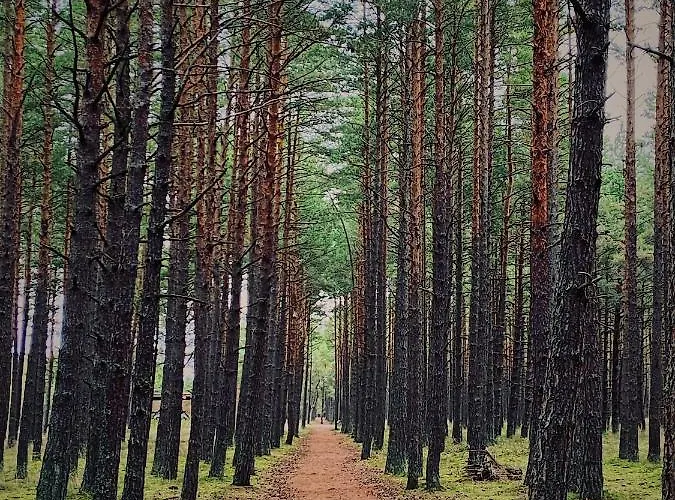 아파트 Gintarine Kopa - Jaukus Apartamentai Prie Juros Ir Pusyno *