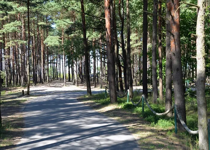 Gintarine Kopa - Jaukus Apartamentai Prie Juros Ir Pusyno Apartment Palanga