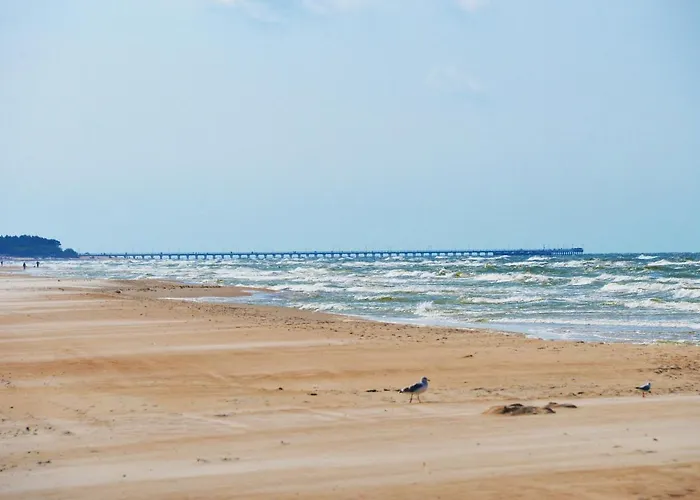 아파트 Gintarine Kopa - Jaukus Apartamentai Prie Juros Ir Pusyno 팔랑가